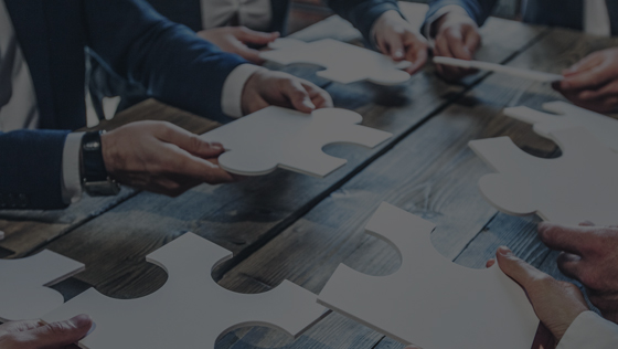 Company Vision